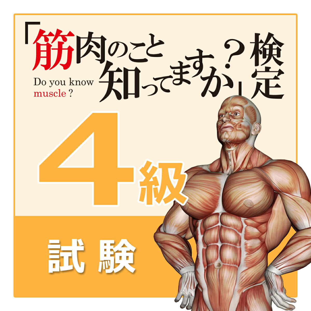 柔道整復師　筋肉　関節　身体運動の機能解剖 身体運動の機能解剖 | Clem W. Thompson, R. T. Floyd, 中村