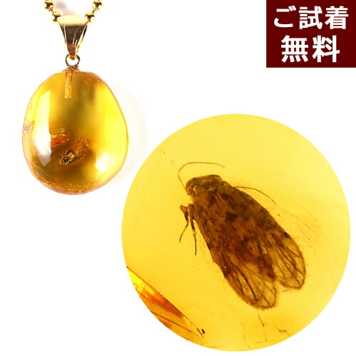 ＼最大25％OFFクーポン／化石 虫入り琥珀 ペンダントトップ ネックレス イエローアンバー 楕円 オーバル 大ウンカ、ハエ K18 チェーン別売り ドミニカ産 琥珀屋 送料無料 ハンドメイド 手作り パワーストーン 天然石 未処理石 No 2148