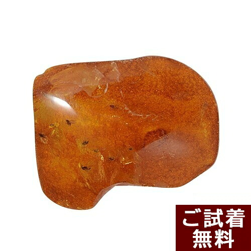 \最大30%OFFクーポン/化石 虫入り琥珀原石 ルース イエローアンバー 蝿 ハエ 琥珀屋 送料無料 ハンドメイド 手作り パワーストーン 天然石 標本 No 398|琥珀屋 職人が創る琥珀ジュエリー