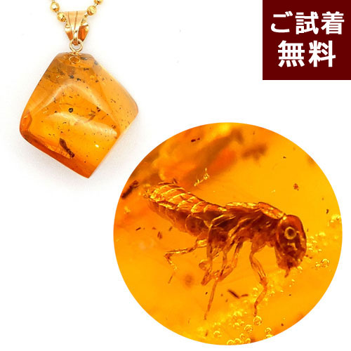 ＼最大25％OFFクーポン／琥珀 ネックレス ペンダントトップ 気泡 ハチまたはハエ イエローアンバー ハニー 黄色 透明 クリアー 未処理 メキシコ産 化石 虫入り琥珀 昆虫 ひし形 1.5cm四方 ハチ ハエ K18 チェーン別売り 一点物 琥珀屋 No 3463