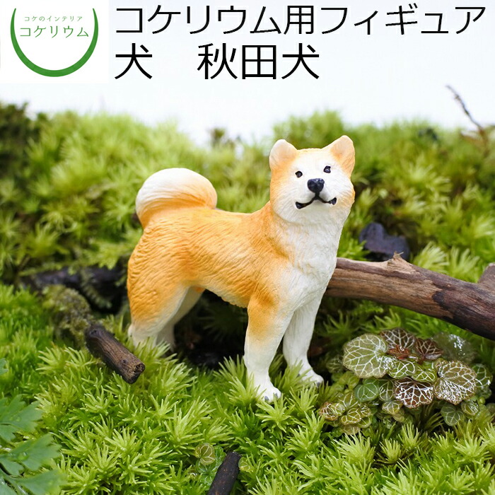 全商品オープニング価格！ コケリウムフィギュア おしゃれ インテリア 苔 犬 コケリウム テラリウム 観葉植物 ミニ ミニチュアダックスフント 苔リウム  フィギュア 苔テラリウム コケ その他