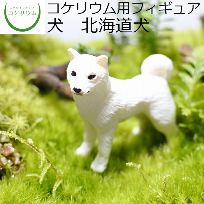 全商品オープニング価格！ コケリウムフィギュア おしゃれ インテリア 苔 犬 コケリウム テラリウム 観葉植物 ミニ ミニチュアダックスフント 苔リウム  フィギュア 苔テラリウム コケ その他