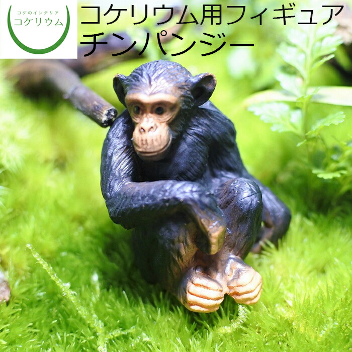 楽天市場 観葉植物 おしゃれ ミニ テラリウム フィギュア ミニ観葉 コケリウム 苔 コケ 苔テラリウム 苔リウム アクアリウム アクアテラリウム 園芸 ハイドロカルチャー ガーデニング グリーン インテリア 緑 苔盆栽 癒し Moss 初心者 コケリウムフィギュア 楽天市場 観葉植物 おしゃれ ミニ テラリウム フィギュア ミニ観葉 コケリウム 苔 コケ 苔テラリウム 苔リウム アクアリウム アクアテラリウム 園芸 ハイドロカルチャー ガーデニング グリーン インテリア 緑 苔盆栽 癒し Moss 初心者 コケリウムフィギュア