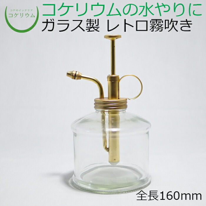 テラリウム コケリウム 苔 コケ 苔テラリウム 苔リウム アクアリウム アクアテラリウム 観葉植物 園芸 ハイドロカルチャー ガーデニング グリーン インテリア 緑 苔盆栽 癒し Moss 初心者 コケリウム霧吹き グラススプレー ゴールド Maisons Coudrelle Fr