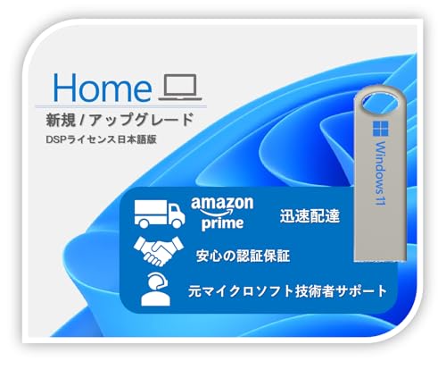 Windows11 Home 置き目 DSP使用許可日本語版 作りつけるUSB付