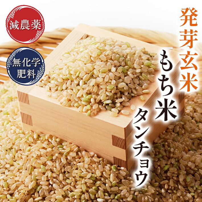発芽玄米 もち米 5kg 無洗米<br>ふっくらもっちり<br>特別栽培米<br>令和6年福井県産<br>食物繊維・ビタミンB群・GABA・ミネラルが豊富<br>アブシジン酸は検出されていません<br>フレッシュ真空パック 限定米<br>米・食味鑑定士認定米