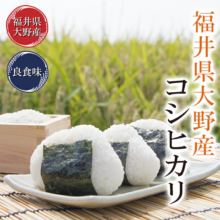 最高級コシヒカリ 5kg
令和5年福井県大野産
限定米 送料無料 検査一等米
※米食味鑑定士鑑定済