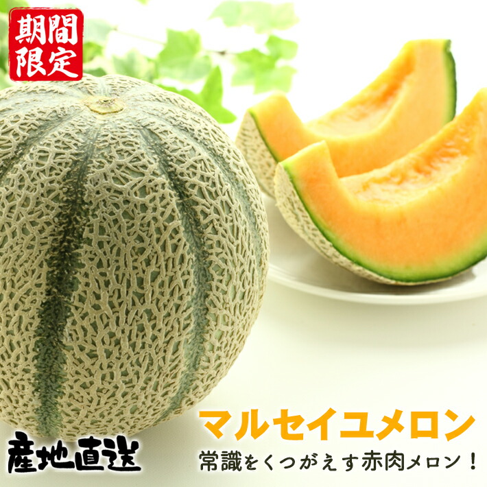 福井県産マルセイユメロン ４～５個入<br>送料無料<br>【ご予約注文品・入荷次第順次お届け】