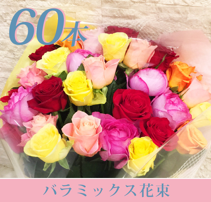 クール便発送 ミックス色 バラ 60本 バラ花束 送料無料 薔薇花束 誕生日 結婚記念日 送別会 還暦 発表会 女性 母 父 Monitor Systems Com