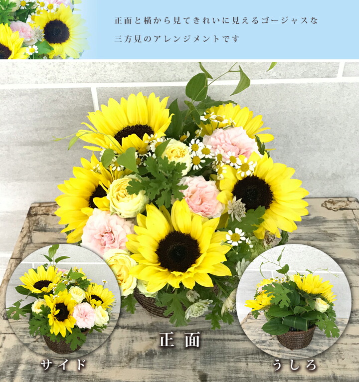クール便発送 夏 誕生日 祝い 花 ひまわり フレッシュ アレンジメント 5000円 誕生日 ギフト プレゼント 送料無料 花 ヒマワリ ピンクバラ 薔薇 向日葵 誕生日 結婚記念日 ピアノ発表会 お中元 サマーギフト さわやかアレンジ Crunchusers Com