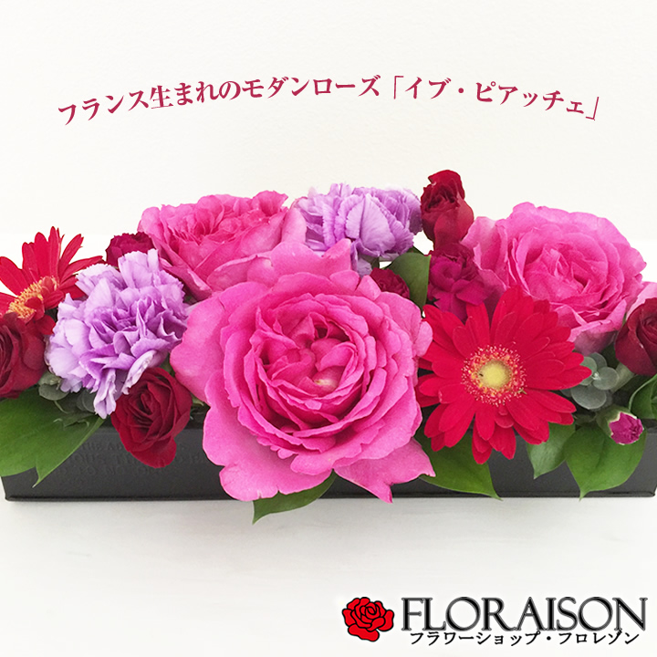 クール便発送 特別なバラを贈る 薔薇 フレグランス アレンジメント M 誕生日プレゼント 結婚記念日 母の日 花 誕生日ギフト 送料無料 イブピアッチェ 甘い香り バラ フラワーギフト 誕生日 プレゼント 女性 義母 Korkmazmauritius Com