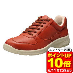 新着音沙汰