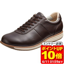 新着知らせ
