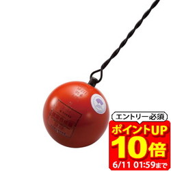 新着知らせ