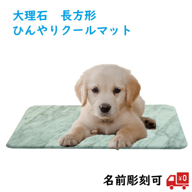 ひんやりじゅうたん キャット 工作員 ねこ にゃんにゃん ラッパ役割り 往き来寒冷心持ち ペットマット 冷感 夏期 大理岩 板子 長方形 クールマット 白色 ペット ひんやり マット 石製 おファーストネーム彫り刻む イタリア共和国制作 ビアンコカララ 長方形 猫