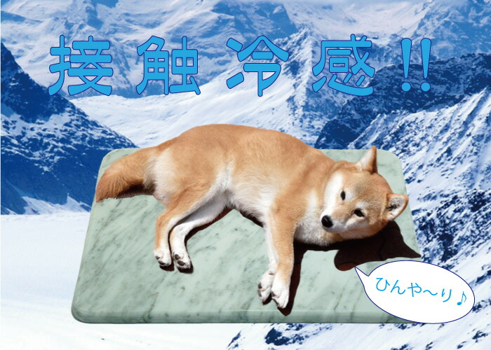 大理石 板 長方形 クールマット 白 ペット ひんやり マット 石製 お名前彫刻 イタリア産 ビアンコカララ 長方形 猫サークル ワンちゃん ネコちゃん うさぎ 夏 省エネ 水洗いok 送料無料 Cooltonindia Com