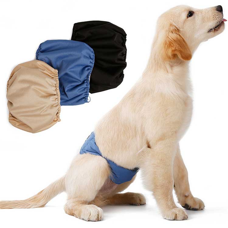 楽天市場 犬 サスペンダー ズレヘンダー ドッグ 犬用サスペンダー サニタリー パンツ マナー ペット スカート マナーパンツ おむつカバー コスプレ 小型犬 大型犬 犬用 Ks Rktshop
