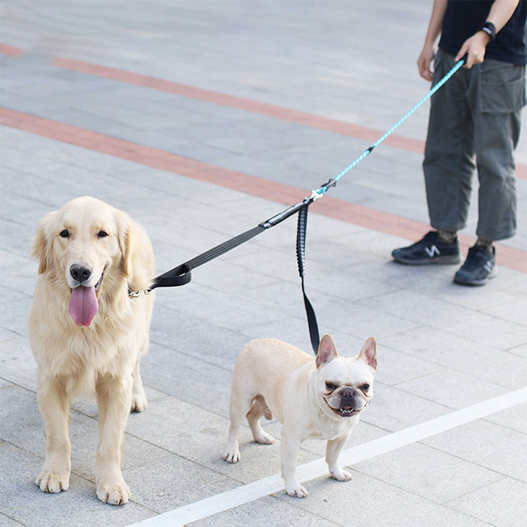 楽天市場 リード 2頭引き 犬用 多頭 小型犬 多頭飼い 絡まない おしゃれ ペット 中型犬 2頭引きリード 首輪 かわいい ドッグ 軽量 Lサイズ リーシュ シンプル いぬ 犬用リード ポスト投函選択で送料無料 ブラック 大型犬 超小型 小型犬用 ペット用品 Lea Shop楽天市場店