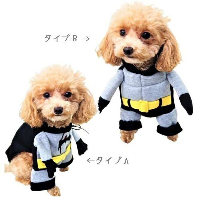 愛玩動物役立つこと面白コス狭衣 コスプレ 素質 ハロウィン ハロパ 変身 トップス ロンパース アメコミ ヒーロー 青碧 丹赤 グレイ 墨染め 探 にゃんにゃん ペット 装束 犬服 かわいらしい 心うれしい 最少犬 パピー 超小型犬 小型犬 貨物輸送無料 返品物交不可