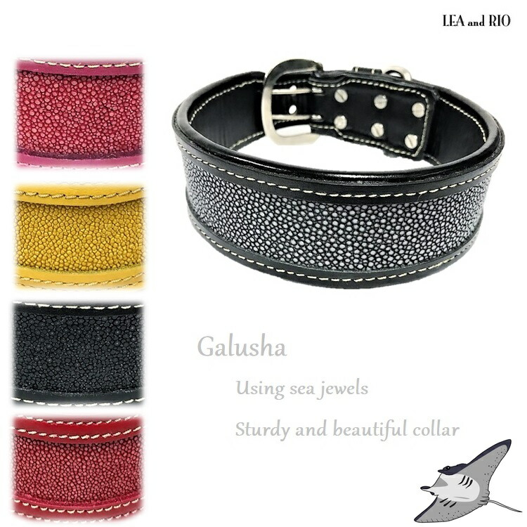 ドッグ 頸飾り 革首輪 大型犬 犬 喇叭 なめし革 書史革 エイ革 エイ ガルーシャ 分かり易い ナチュラル 生得原料 硬い 頑強 益荒男 壊れにくい 黒いこと さくら色 委細 大型 彷徨う お出かけ 貨物輸送無料 かっこ良い かっこいい クール 事無し 送料無料 返品取り換え不可