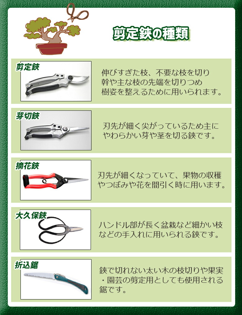 打物 越路 ガーデニング用品 農家向けハサミを作り続けてきた老舗の逸品 ガーデン 職人が仕上げた鍛造の刃は切れ味抜群 研ぎ直しサービス付き 葉刈鋏 庭園 園芸用はさみ 女性用 摘果 園芸用品 225mm B 5 園芸鋏 ハサミ 軽量鋏 軽い 収穫 農業 摘花 採果 摘果 打物 越路 ガーデニング用品 農家向けハサミを作り続けてきた老舗の逸品 ガーデン 職人が仕上げた鍛造の刃は切れ味抜群 研ぎ直しサービス付き 葉刈鋏 庭園 園芸用はさみ 女性用 摘果 園芸用品 225mm B 5 園芸鋏 ハサミ 軽量鋏 軽い 収穫 農業 摘花 採果 摘果