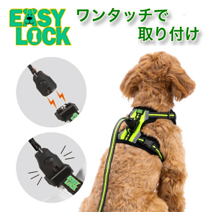 犬用リードとハーネス1セット 磁石の力 胴輪 犬用ハーネス 着脱が簡単にできるリード 片手でワンタッチ 犬用リードハーネス 可愛い おしゃれ 小型犬 中型犬 大型犬 ブランド 犬具 簡単装着 抜けにくい胴輪ベルト Doglock P S 特別訳あり特価 犬用リードとハーネス1セット 磁石の力 胴輪 犬用ハーネス 着脱が簡単にできるリード 片手でワンタッチ 犬用リードハーネス 可愛い おしゃれ 小型犬 中型犬 大型犬 ブランド 犬具 簡単装着 抜けにくい胴輪ベルト Doglock P S 特別訳あり特価