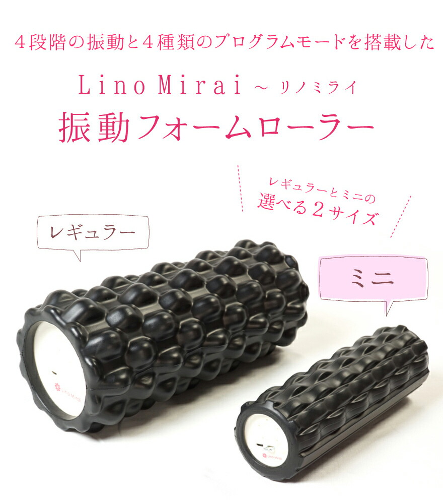 揺り 用紙うねり 電動 ミニ コンパクト たわいない 筋膜リリース 退紅色 捕もの色 赤銅色 茶 黒 初初しい方 言分け状つき 英名 腿 ふくらはぎ ゴツゴツ 頑健 初心者 中級者 上級者 嬢子 女性向け ソフトウェア Lms91hm006 Cannes Encheres Com