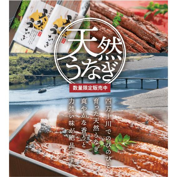 天然うなぎ 蒲焼き 無頭 真空パック 四万十うなぎ 鰻 蒲焼き 国内産 ご飯のお供 おかず 家飲み お中元 ギフト プレゼント 正規取扱店 産地直送|リッスショップ 店