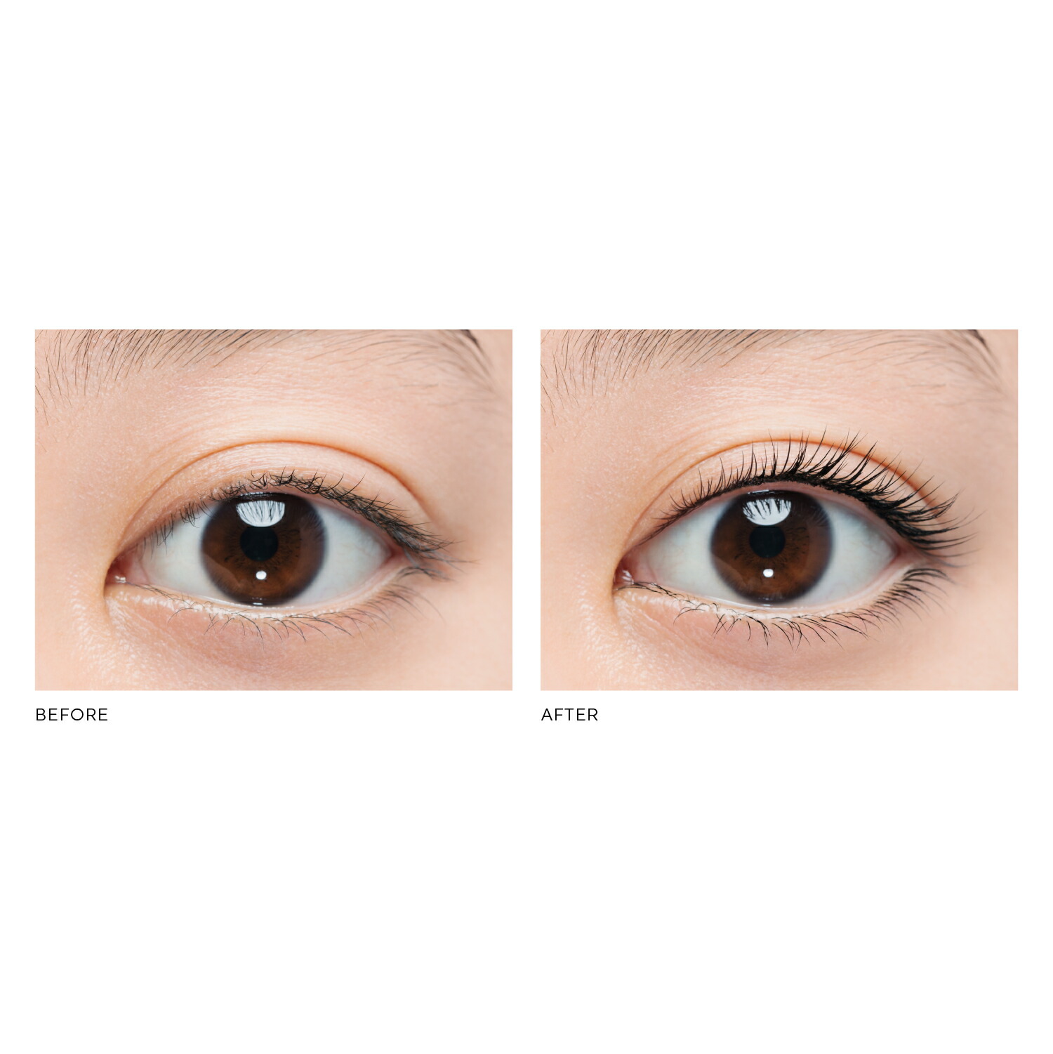 楽天市場 Uzu By Flowfushi公式 Mote Mascara Vol7 セパレート 送料無料 マスカラ まつげケア お湯オフ 低刺激性 まつ育 お湯で落とせる フィルム Uzu By Flowfushi 公式