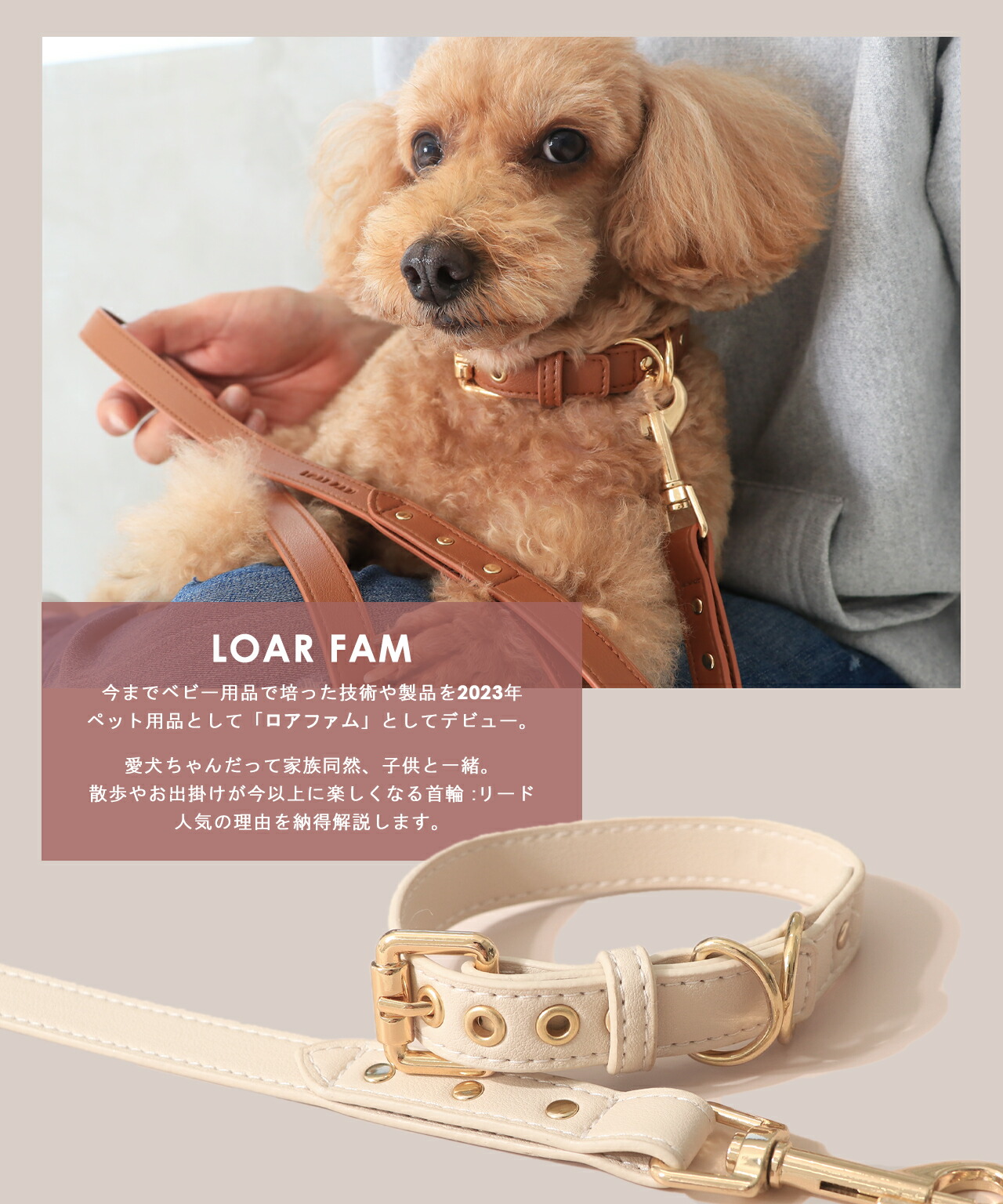 SNSで話題の写真を撮りたくなる首輪／LOARFAM 犬 首輪 犬首輪 首輪
