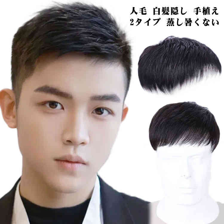 97%OFF!】 男性用ウィッグ ショート ヘアピース メンズウィッグ 送料