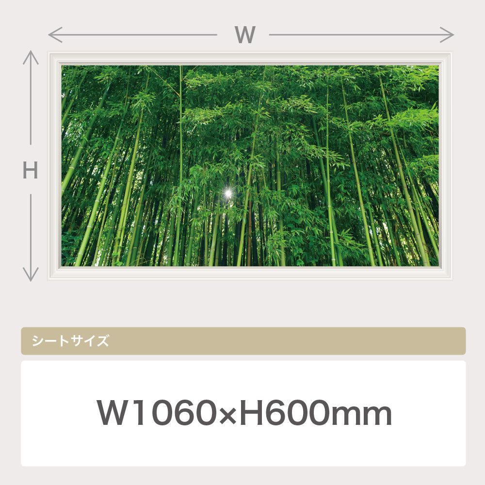 楽天市場 Mu3アクセント壁紙 竹林 ウォールステッカー 日本製 森林 バンブー 木 グリーン 植物 緑 旅行 写真 ポスター シール アート ウォールステッカー専門店ルッカ