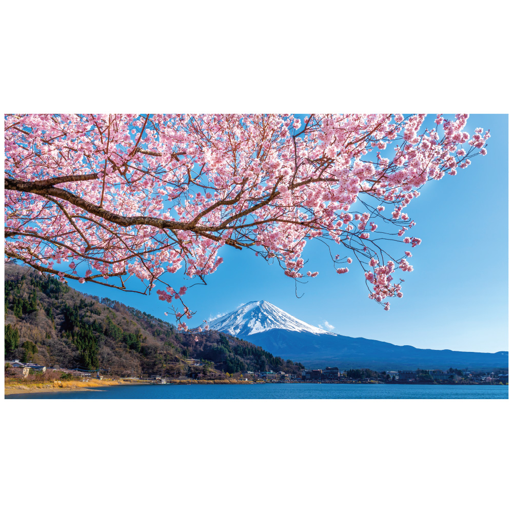 楽天市場】ウォールステッカー サクラ 桜 日本製 桜吹雪 春 花びら