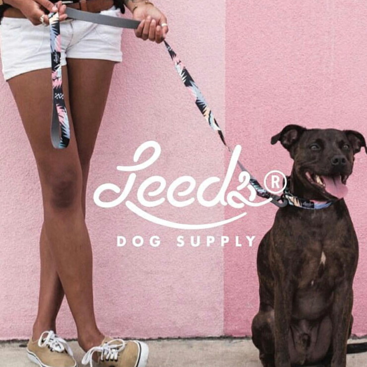 【楽天市場】犬用リード ドッグリード Leeds Dog Supply リーズドッグサプライ DOHENY LEASH Lサイズ：LUG Lowrs