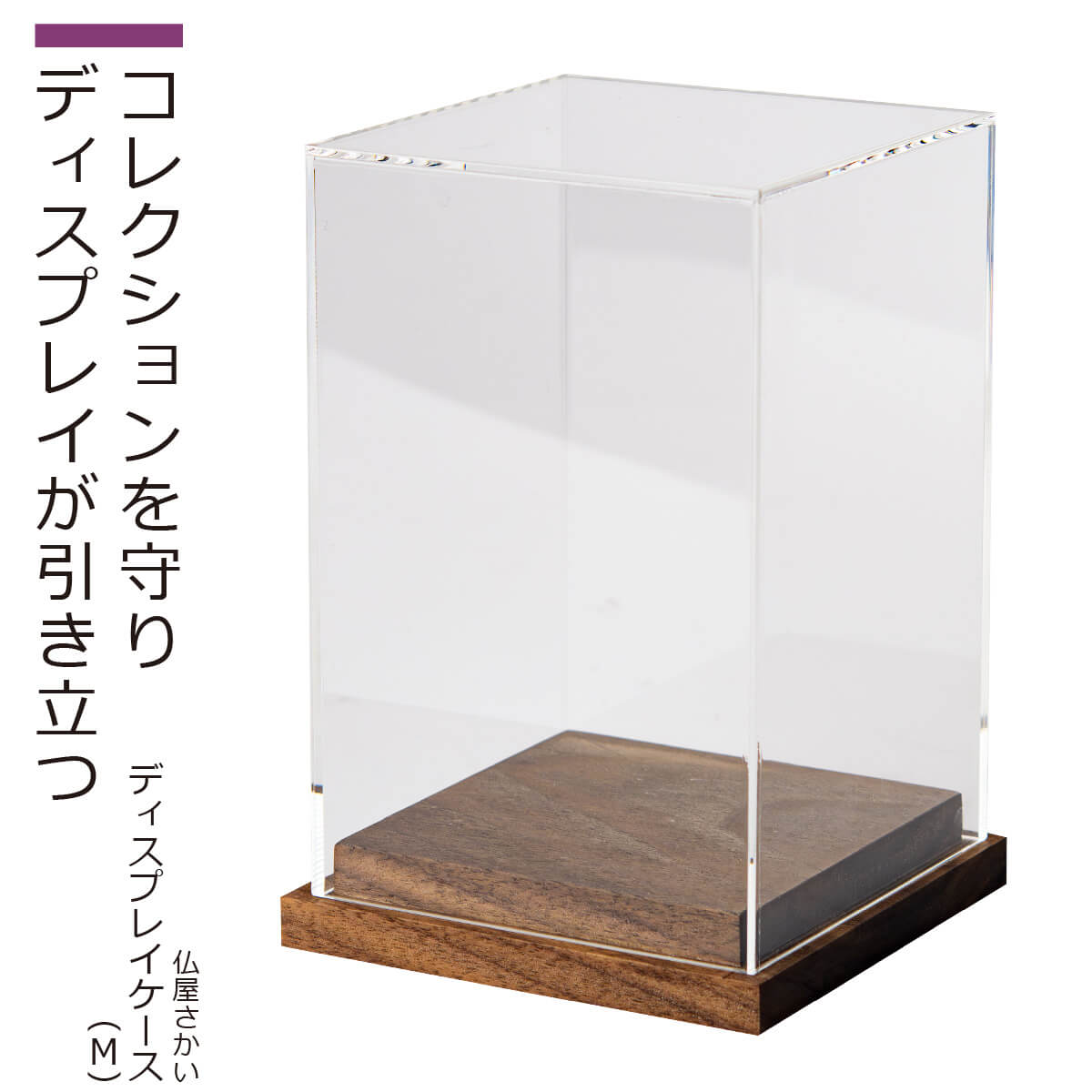 【即納！メーカー直営・直送】 猫buddha『ディスプレイケース』（M）（仏屋さかい 猫buddha にゃんぶっだ 猫仏 猫ブッダ 干支不動小サイズ コレクションケース 専用ケース 置物 ほこりカバー 飾り ディスプレイケース）