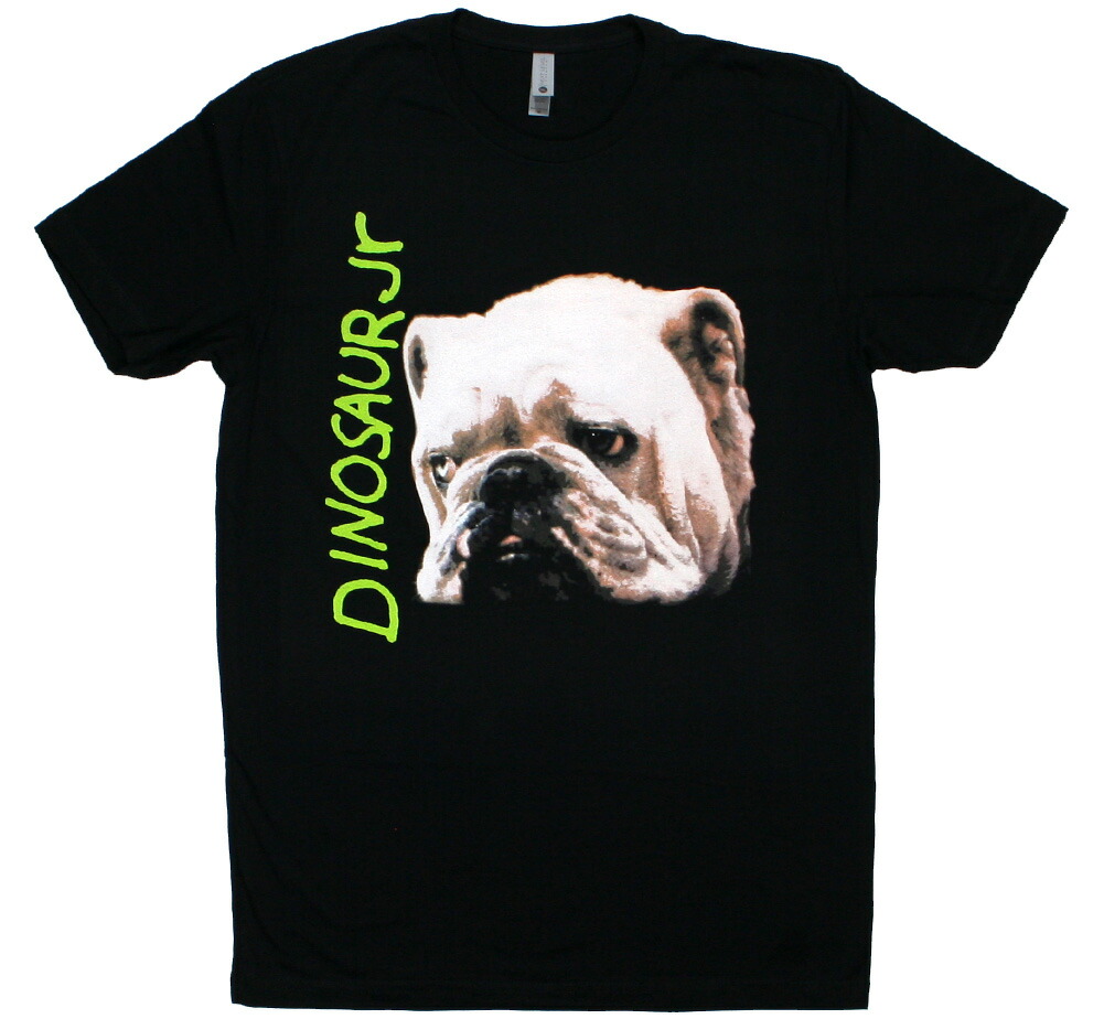 dinosaur-jr_whatever-is-cool-