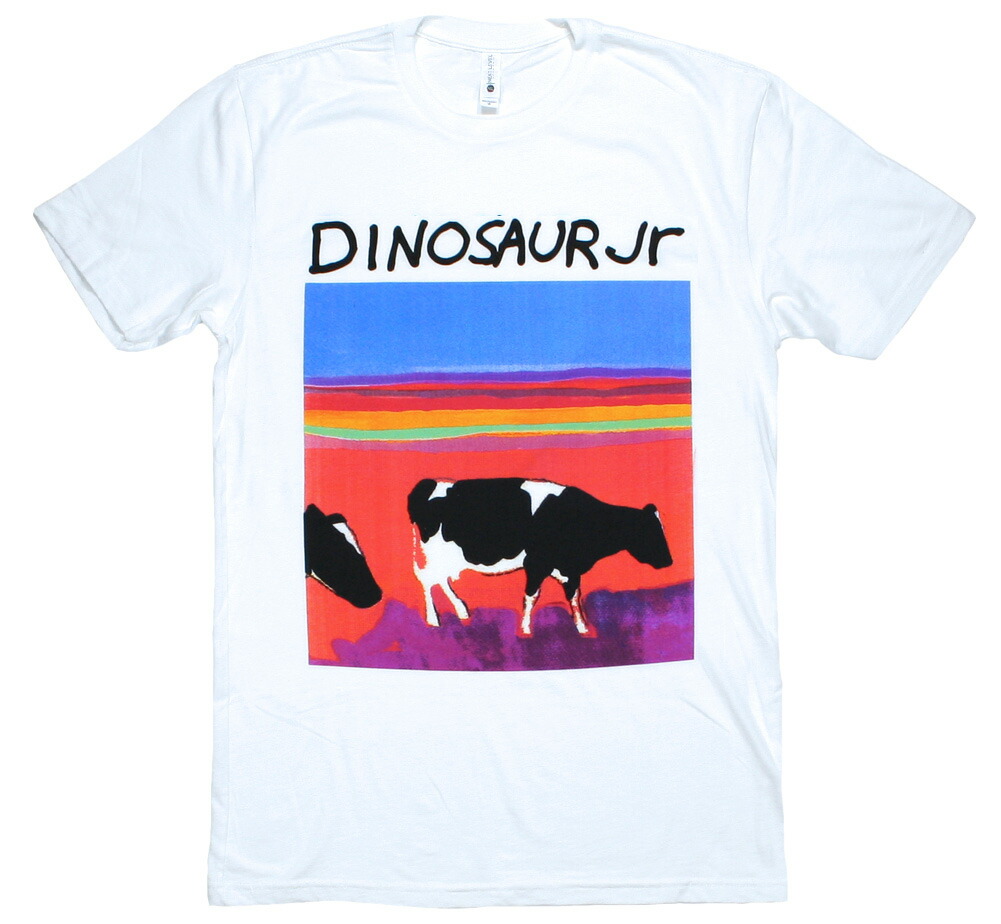 DINOSAUR Jr. Tシャツ ブルー　ダイナソージュニア　ロックTシャツ 90s DINOSAUR Jr. FEEL THE PAIN vintage T-shirt | Shikisen