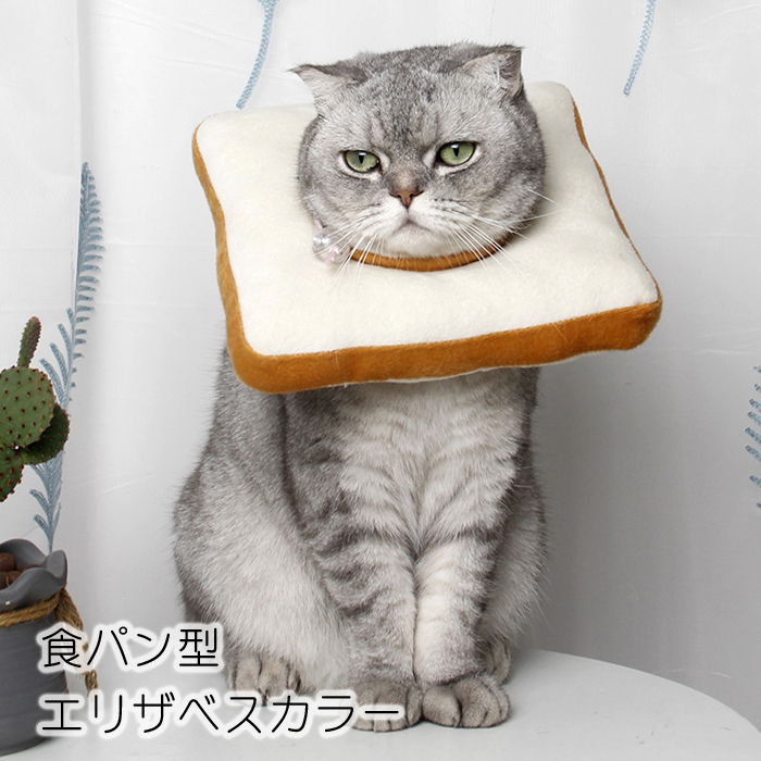 エリザベスカラー 猫 ソフト 犬 術後 介護 食パン