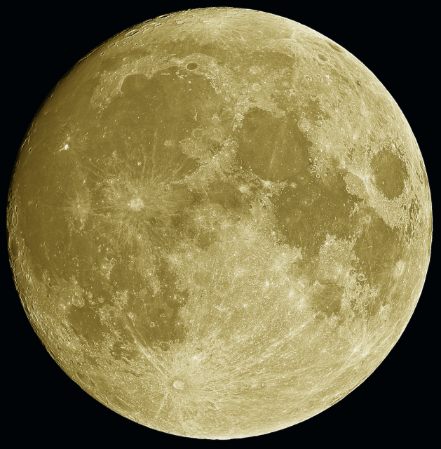 楽天市場 The Moon Poster 月ポスター 大人のお風呂ポスター 防水 知育 満ち欠けカレンダー インテリア 高画質 万福商店