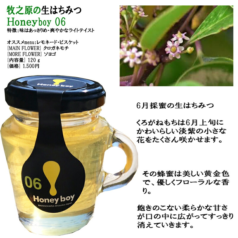 楽天市場 静岡 牧之原 生はちみつ 6月採蜜 Hanyboy 06 非加熱 なまはちみつ 無農薬 天然生蜂蜜 蜂蜜 無添加 ハニー 完熟純粋はちみつ 無 添加 非 加熱 駿河路の作務衣屋