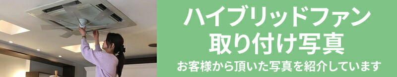 楽天市場】【2024年版】 ハイブリッドファン FJR (ブラック 楽天市場】【2024年版】 ハイブリッドファン FJR (ブラック