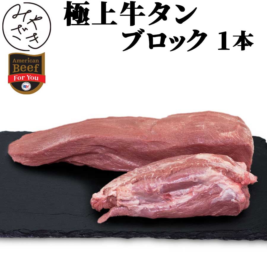 市場 ざぶとん ステーキ ブロック アメリカ バーベキュー 500g 冷蔵 BBQ ローストビーフ 飲食店 塊 鉄板焼