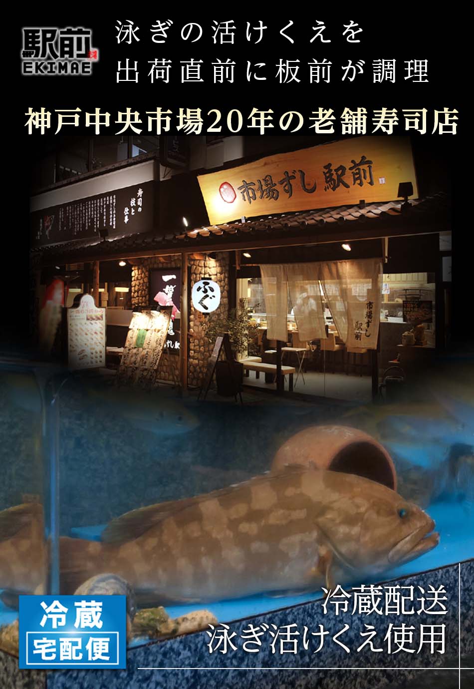 大分県産・泳ぎ活けクエ(真ハタ)セット(4人前)くえ鍋・クエ鍋・注文後板前が調理に入ります【冷蔵】【生にこだわる】【税込・送料無料】【贈答品】【ギフト】【家飲み】【】