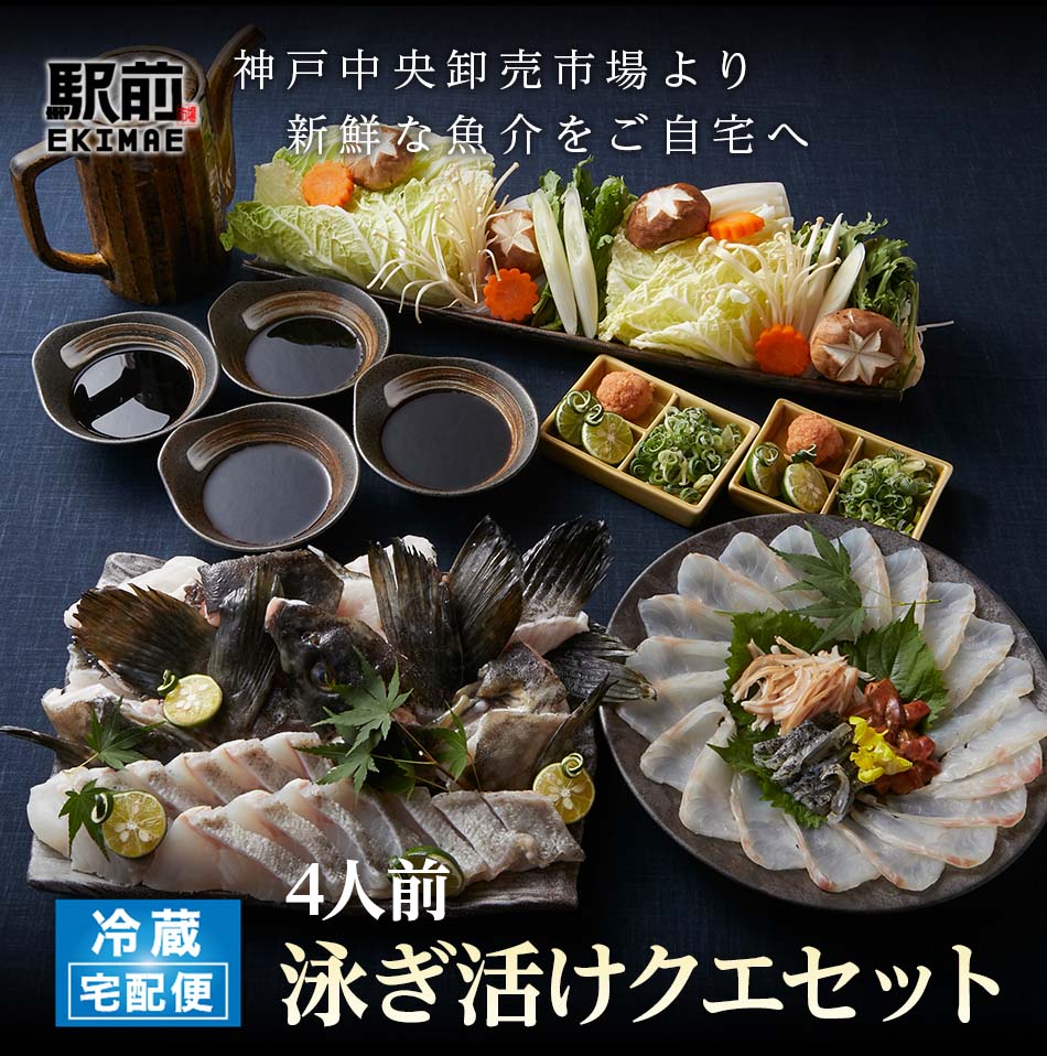 大分県産・泳ぎ活けクエ(真ハタ)セット(4人前)くえ鍋・クエ鍋・注文後板前が調理に入ります【冷蔵】【生にこだわる】【税込・送料無料】【贈答品】【ギフト】【家飲み】【】