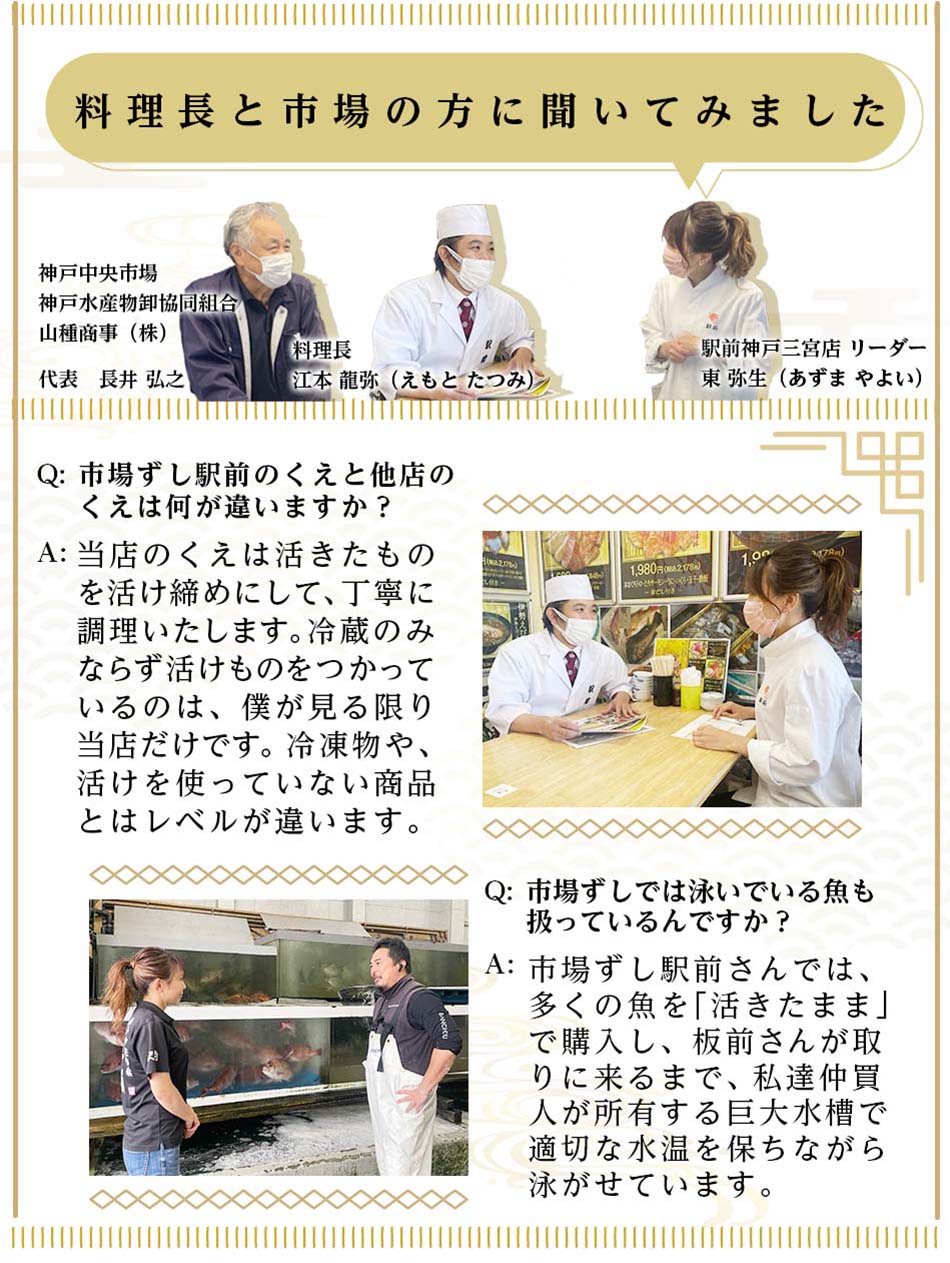 大分県産・泳ぎ活けクエ(真ハタ)セット(4人前)くえ鍋・クエ鍋・注文後板前が調理に入ります【冷蔵】【生にこだわる】【税込・送料無料】【贈答品】【ギフト】【家飲み】【】