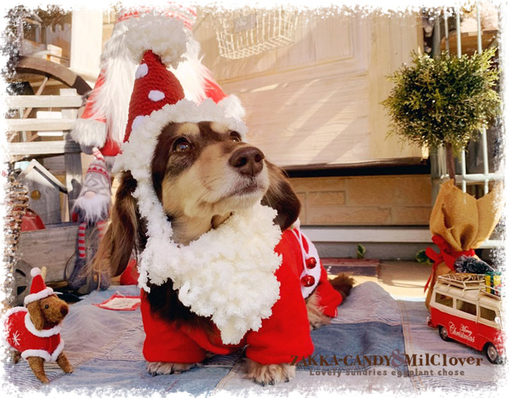 楽天市場 犬服 わんこ服 クリスマス サンタさん カバーオール Milclover ミルクローバー