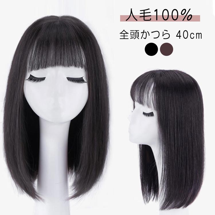 40cm ウィッグ 人毛100% かつら フルウィッグ 医療用 フル ミディアム ロング レディース カール ウィッグ ミディアム ウィッグ 女性 かつら 白髪 人毛 自然 ストレート ヘア ふかし 大人 黒髪 小顔 抗がん剤 レディース コスプレ 白髪隠し 薄毛 増毛|mion