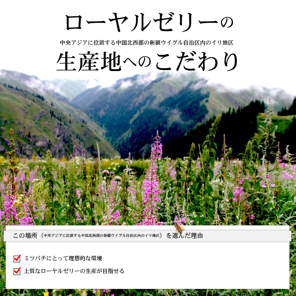 4個セット 伝承 藤井養蜂場 四ケ 加齢臭 ローヤルゼリー 約1ヵ月分 1球 クーポン配布中 おまけ付 四ケ 人気 ロイヤルゼリー 王乳 Royal Jelly 養蜂場 サプリメント 健康食品 美容 健康 サプリ カプセル 送料込 送料無料 あす楽便対応 自然と伝承の力