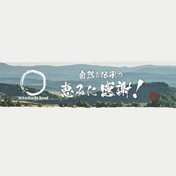 台湾産 ローヤルゼリー カプセル 180球 ロイヤルゼリー 藤井養蜂場 藤井 フジイ ふじい 送料込 72％以上節約