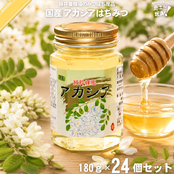 【24個セット】 国産アカシアはちみつ 瓶入 （180g） 【クーポン配布中】 藤井養蜂場 藤井 フジイ ふじい 国産蜂蜜 国産ハチミツ アカシア akasia 送料込【送料無料】